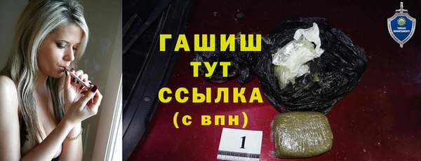 СК Алексин