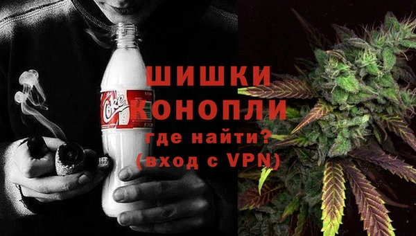 СК Алексин
