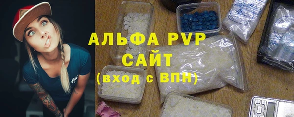 прущие грибы Абинск