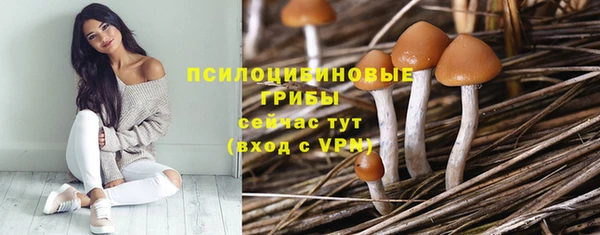 прущие грибы Абинск